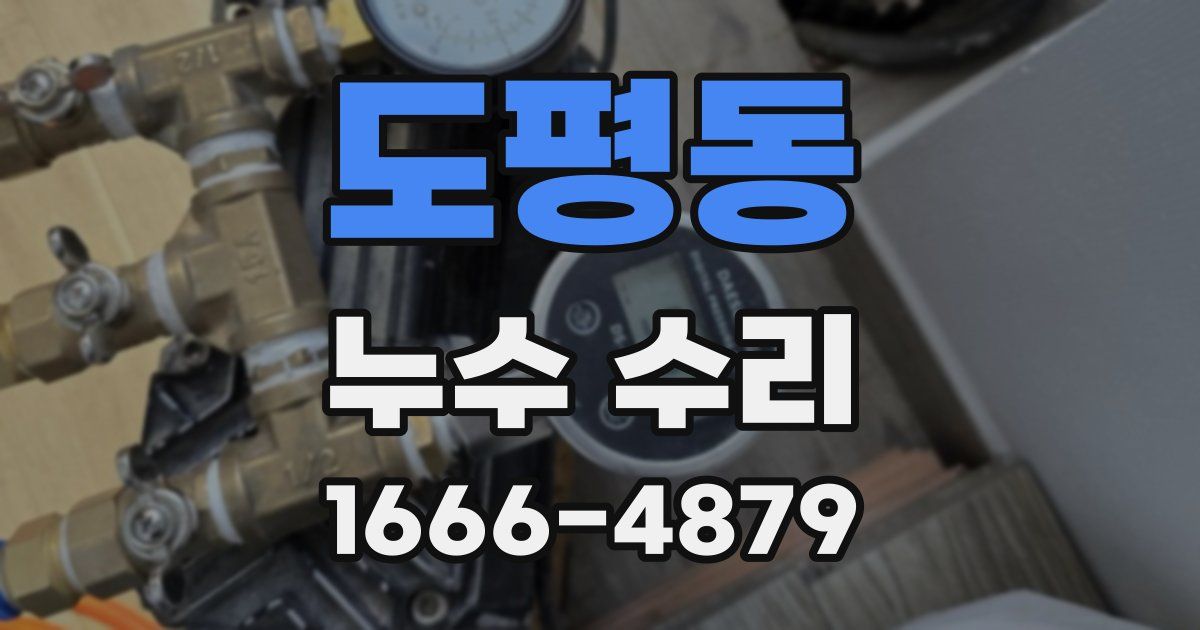 도평동 누수 수리