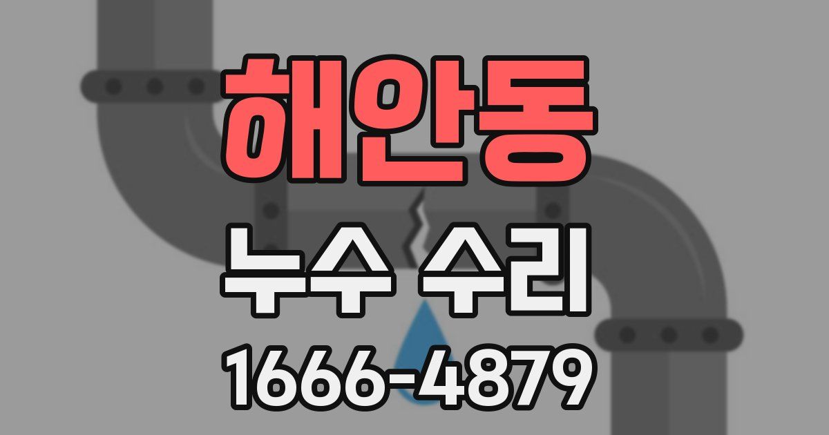 해안동 누수 수리