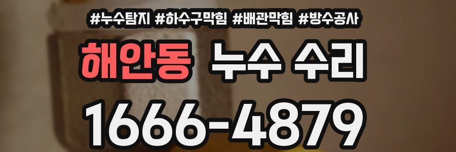 해안동 누수 수리