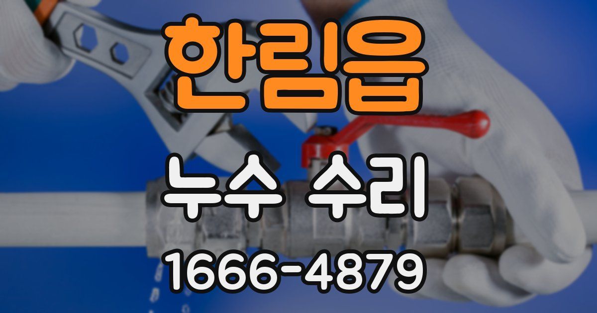 한림읍 누수 수리