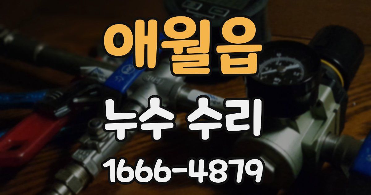 애월읍 누수 수리