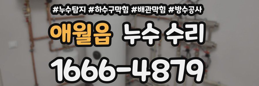 애월읍 누수 수리