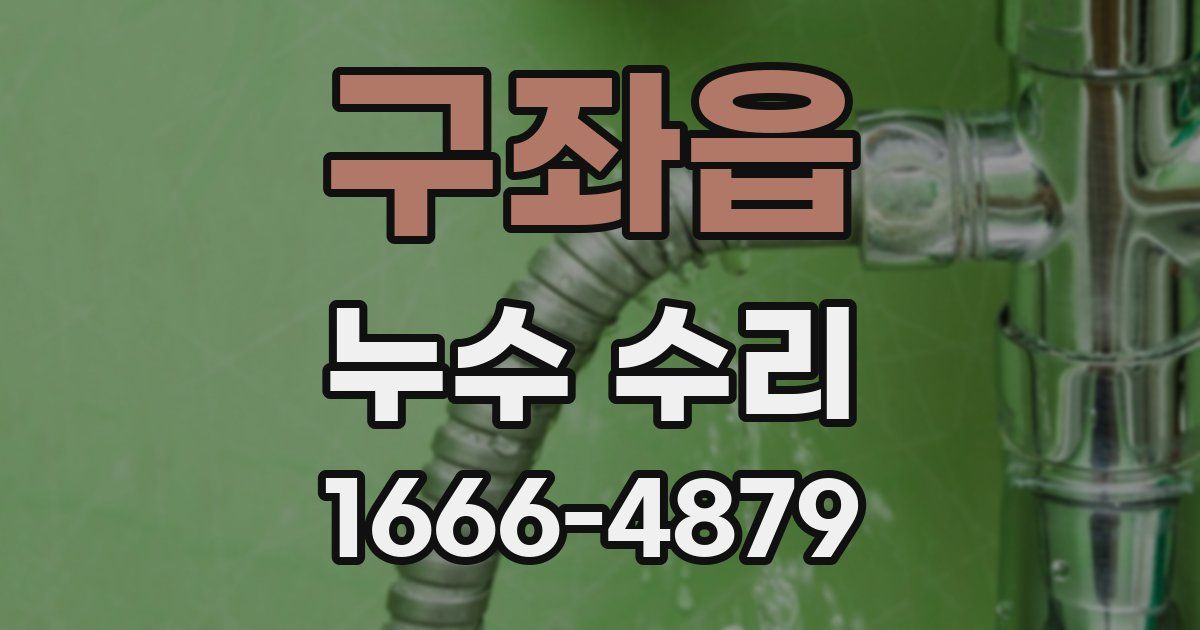 구좌읍 누수 수리