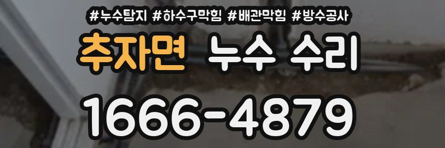 추자면 누수 수리