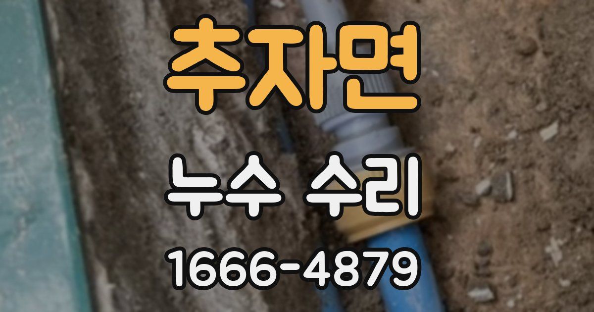 추자면 누수 수리