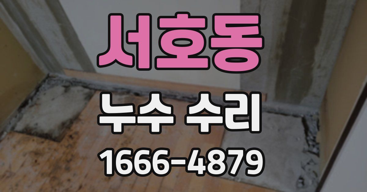 서호동 누수 수리