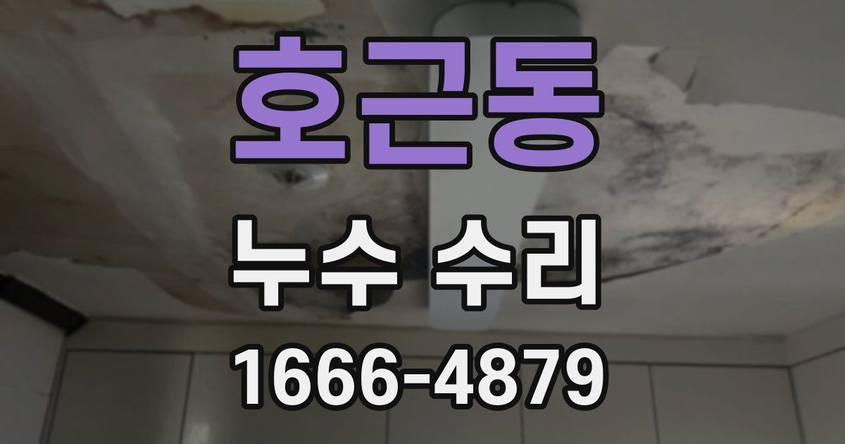 호근동 누수 수리