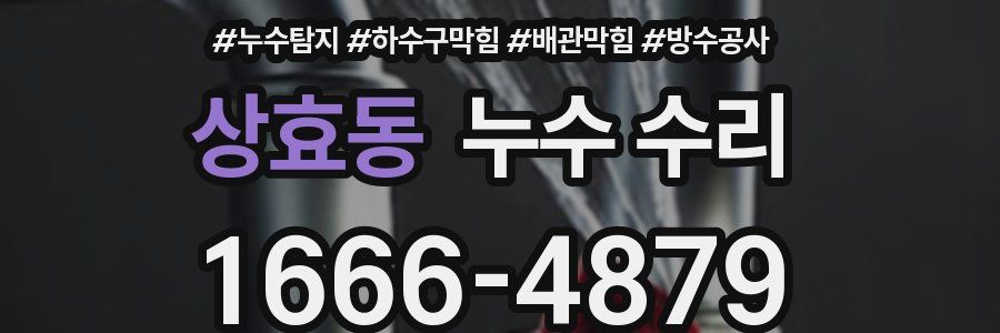 상효동 누수 수리