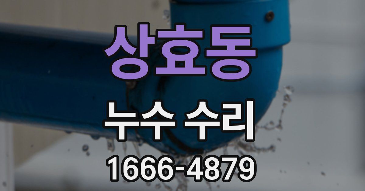 상효동 누수 수리