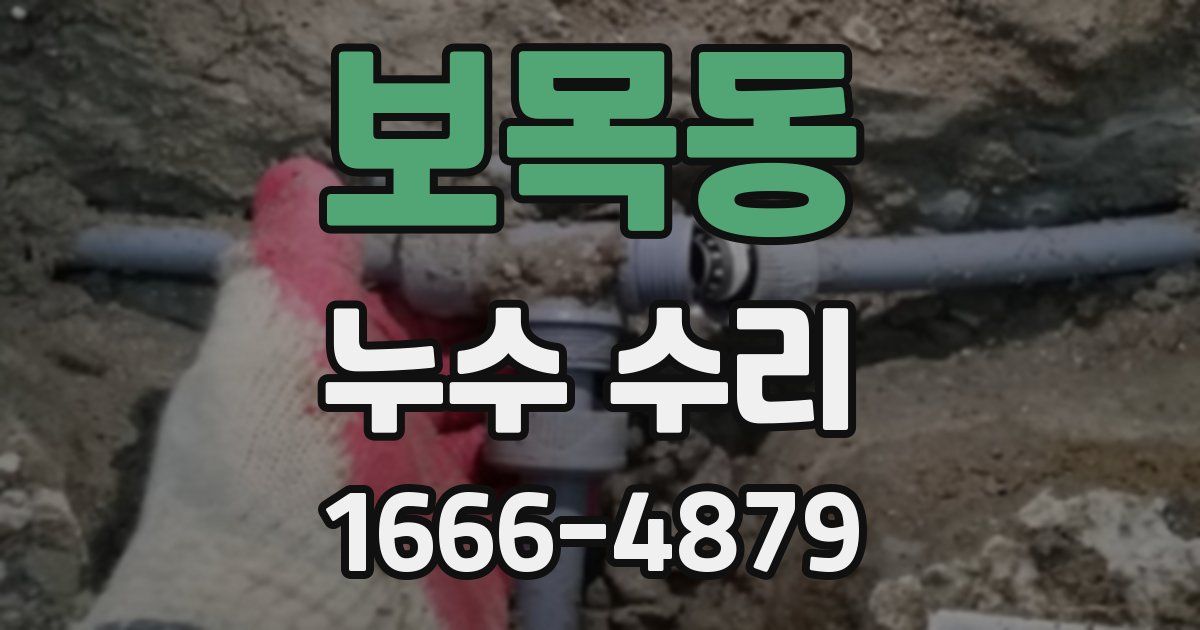 보목동 누수 수리