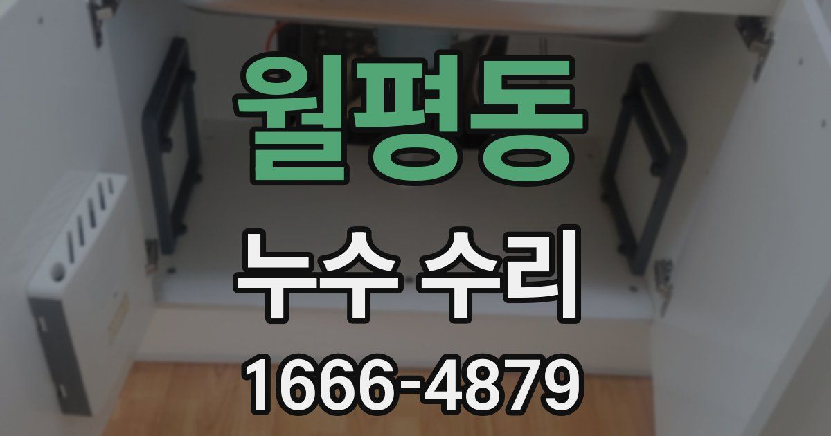 월평동 누수 수리