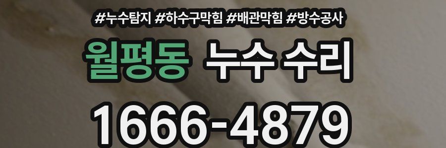 월평동 누수 수리