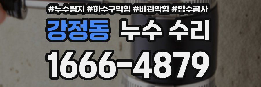 강정동 누수 수리