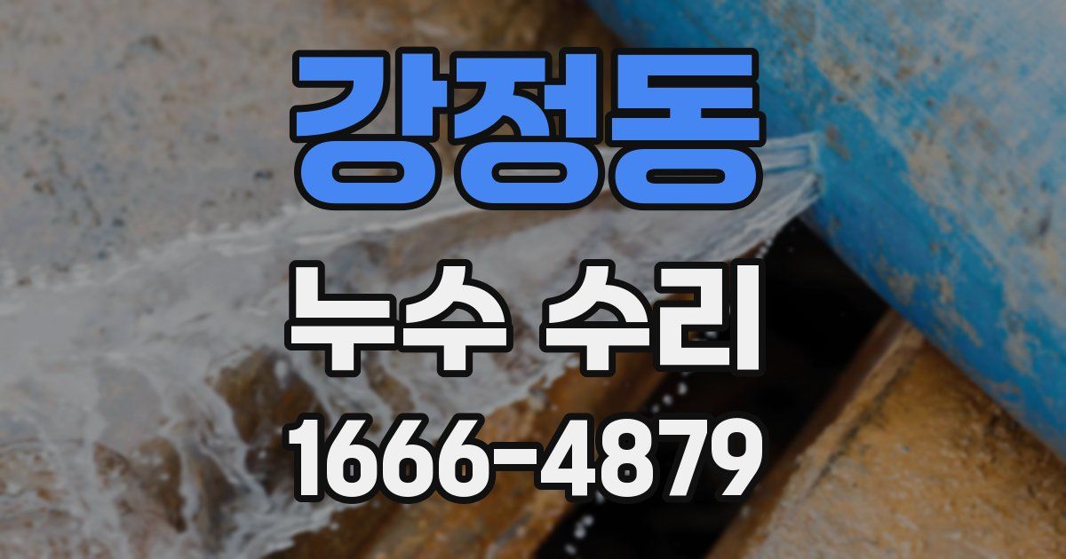 강정동 누수 수리