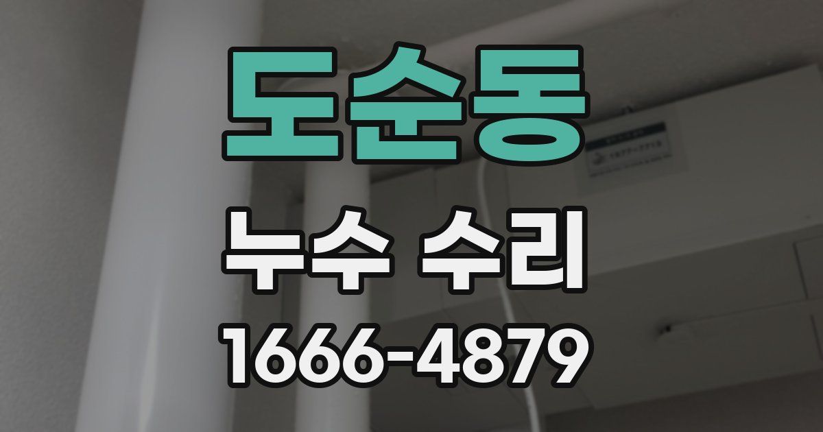 도순동 누수 수리