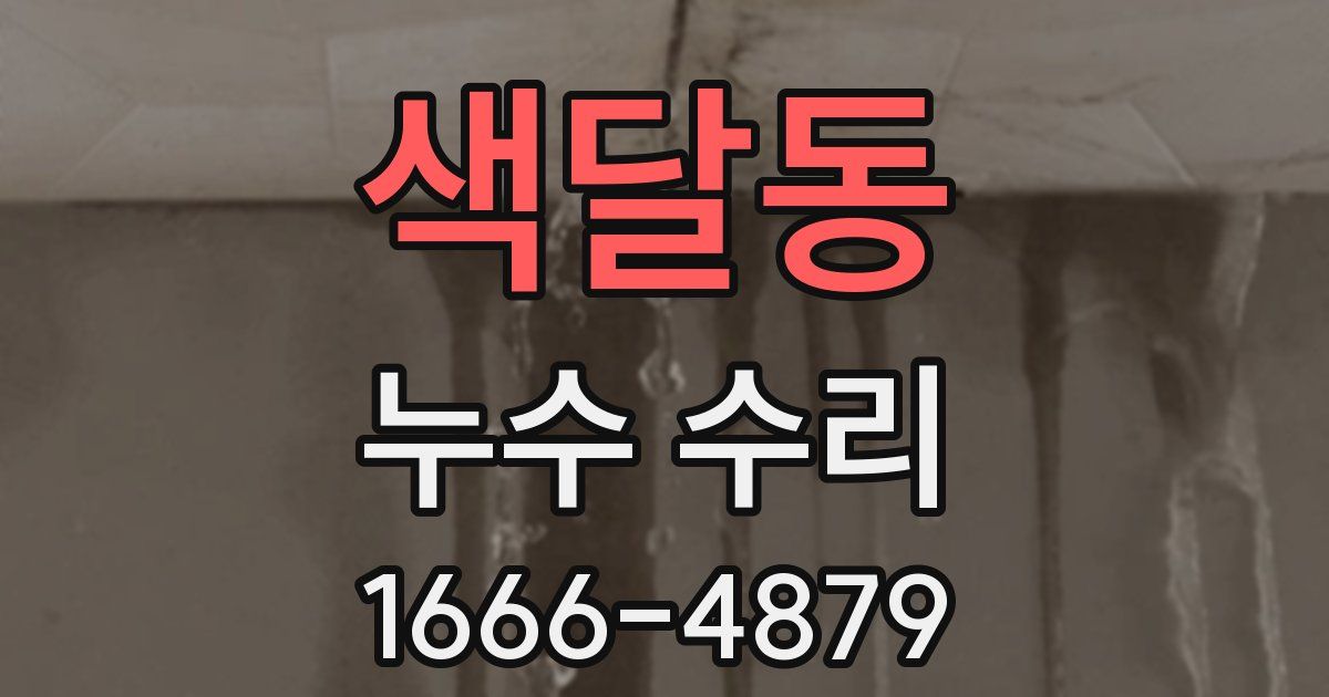 색달동 누수 수리