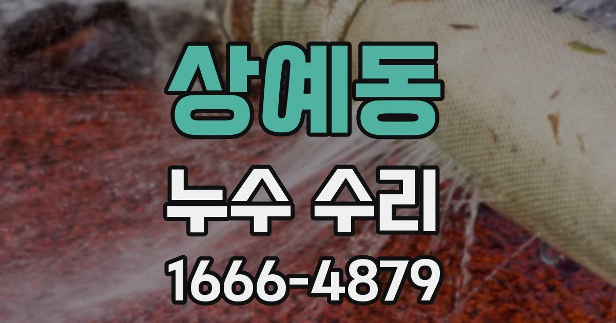 상예동 누수 수리