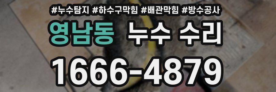 영남동 누수 수리