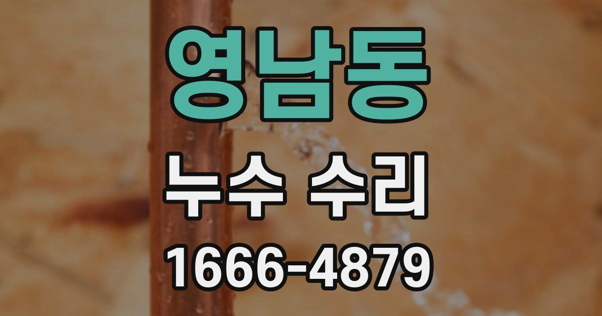 영남동 누수 수리