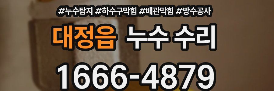 대정읍 누수 수리