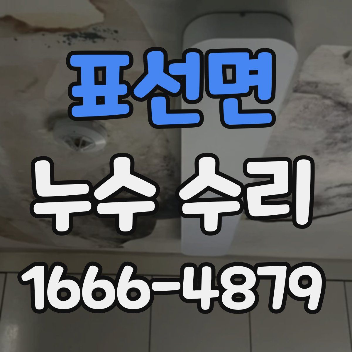 표선면 누수 수리