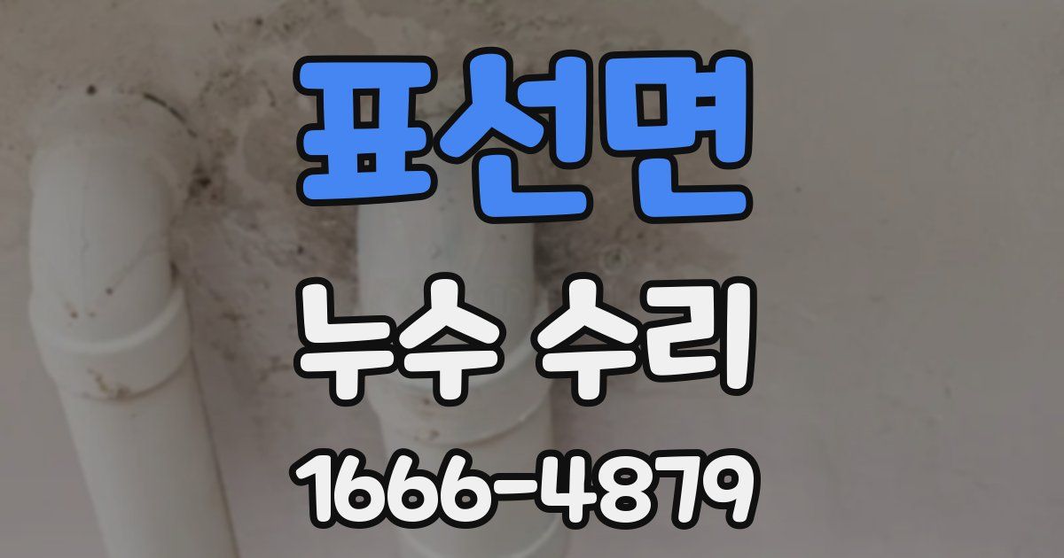 표선면 누수 수리