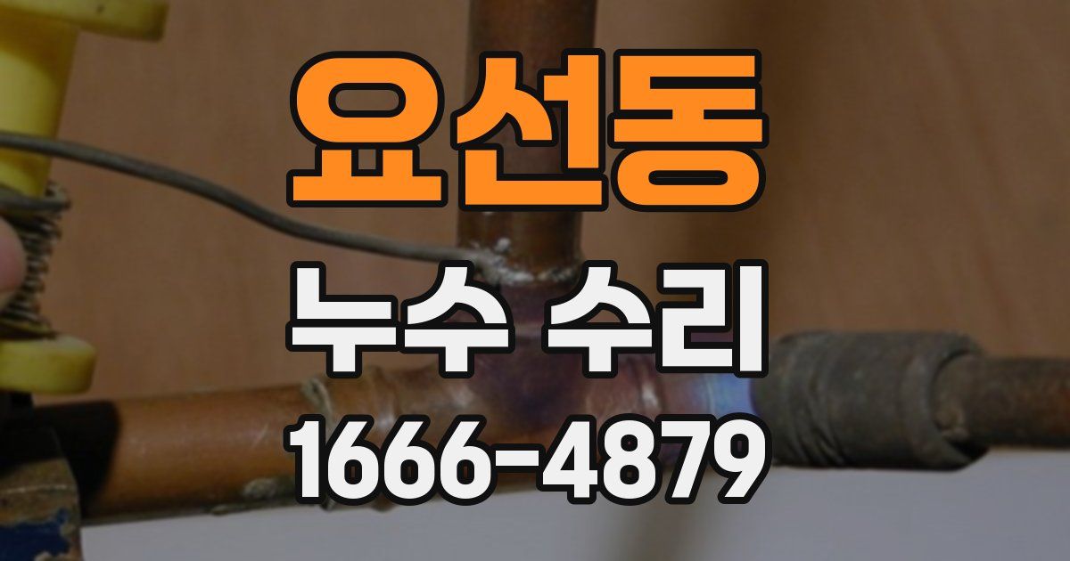 요선동 누수 수리