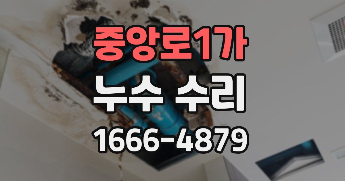 중앙로1가 누수 수리