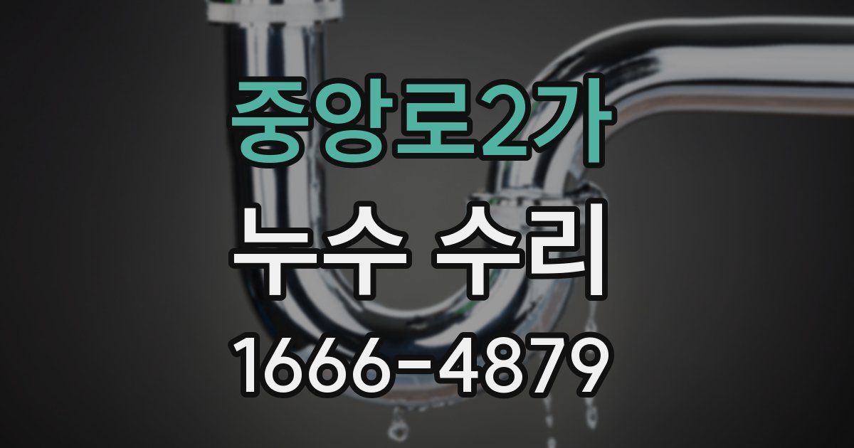 중앙로2가 누수 수리