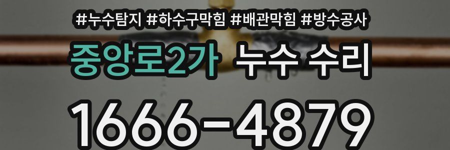 중앙로2가 누수 수리
