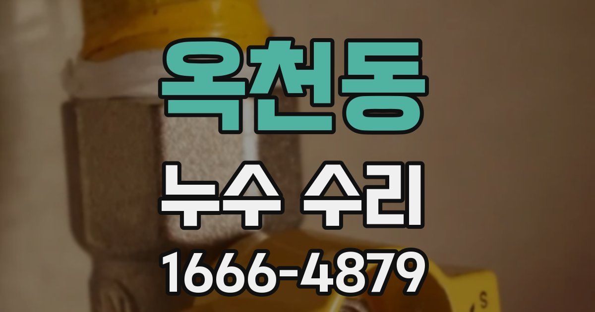 옥천동 누수 수리