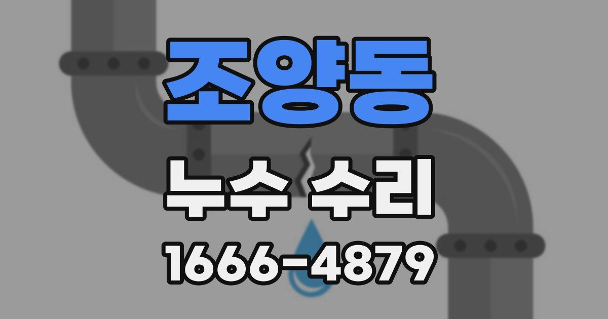조양동 누수 수리