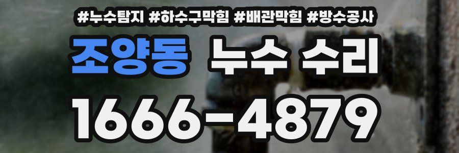 조양동 누수 수리