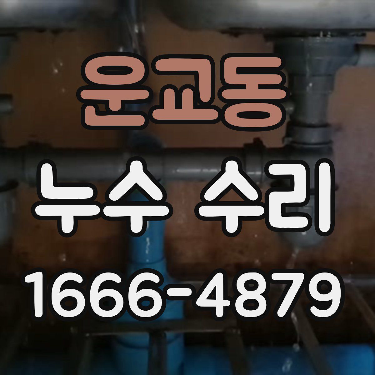 운교동 누수 수리