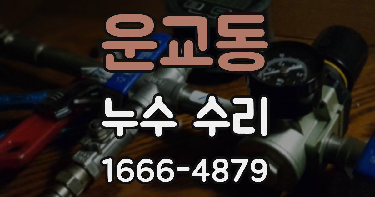 운교동 누수 수리