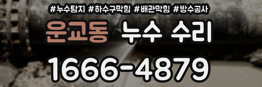 운교동 누수 수리