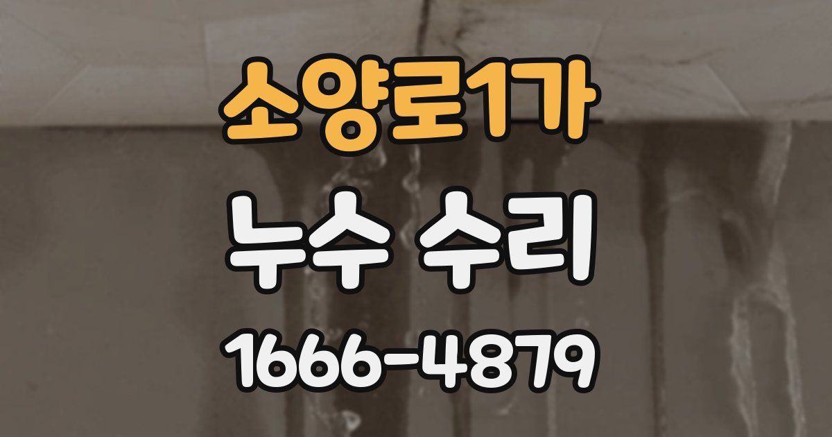 소양로1가 누수 수리