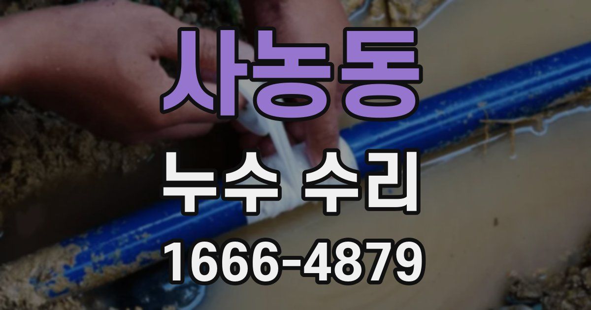 사농동 누수 수리
