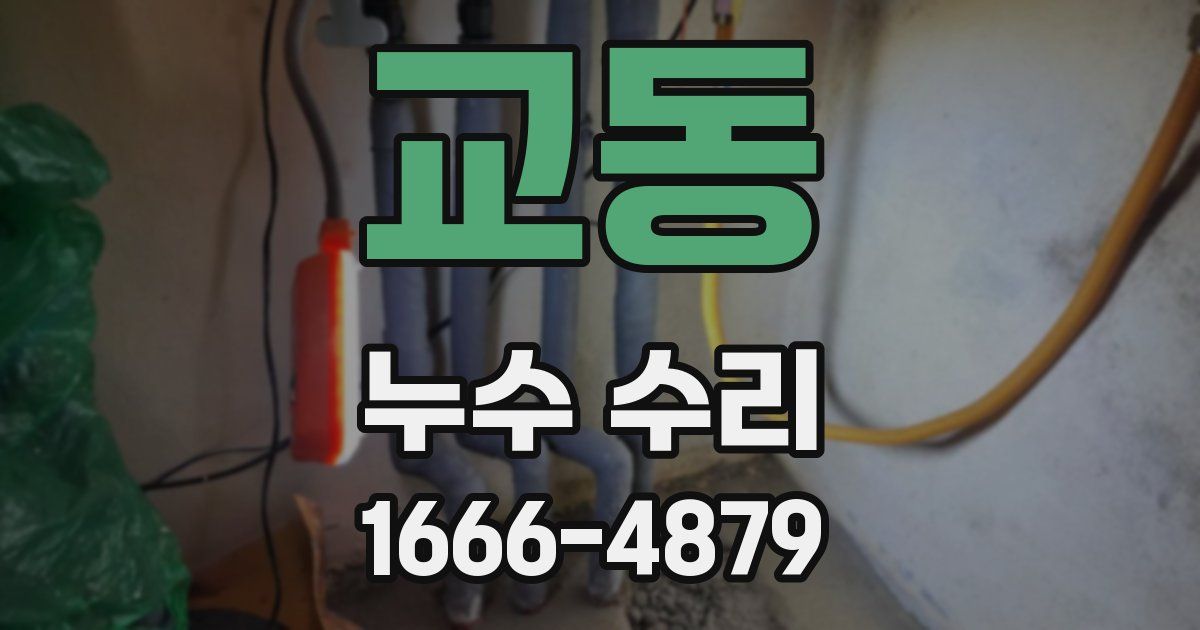 교동 누수 수리
