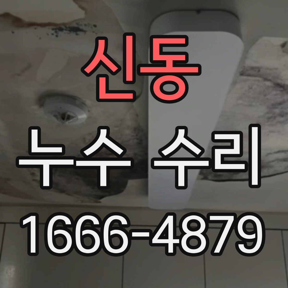 신동 누수 수리