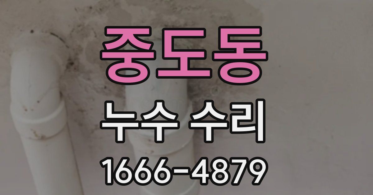중도동 누수 수리