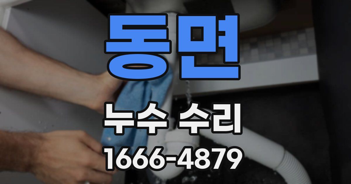 동면 누수 수리