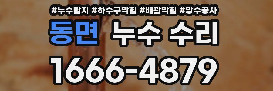 동면 누수 수리