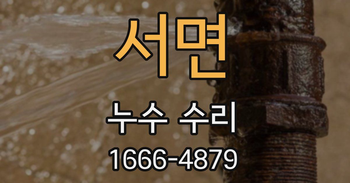 서면 누수 수리