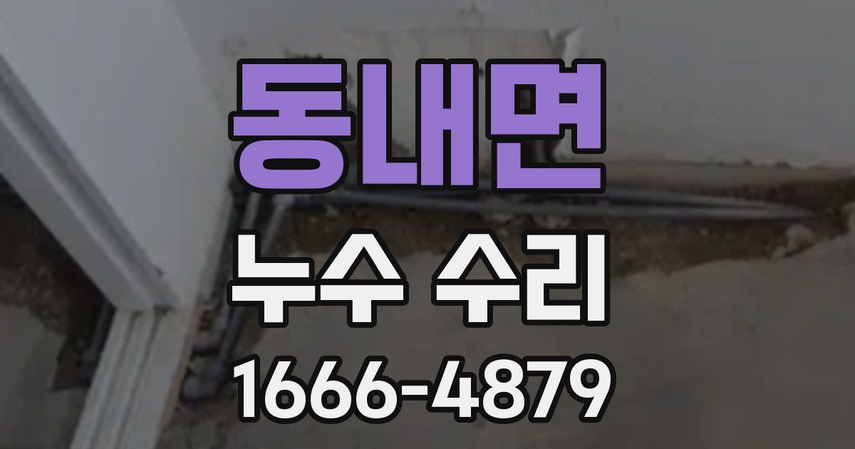 동내면 누수 수리