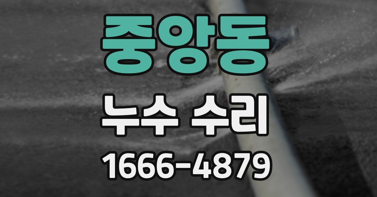 중앙동 누수 수리