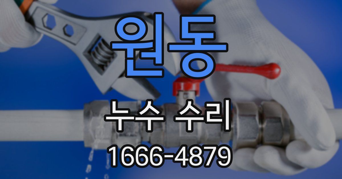 원동 누수 수리