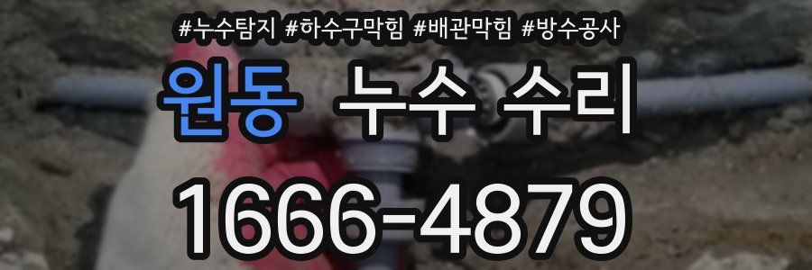 원동 누수 수리