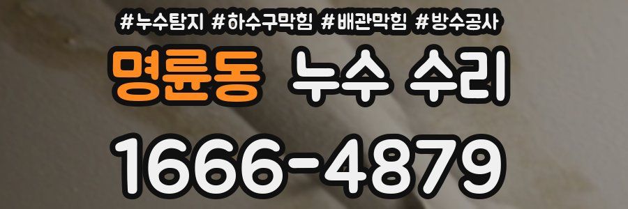 명륜동 누수 수리