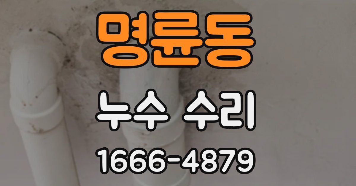 명륜동 누수 수리